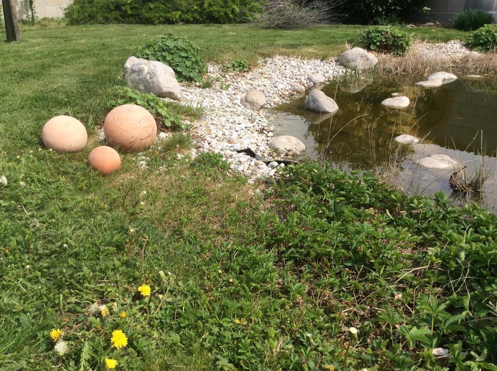 Lakeside Villa Frauenkirchen Zewnętrze zdjęcie